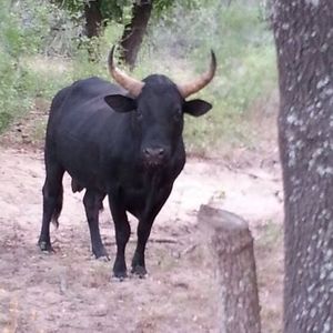 Meet your Posher, Billy